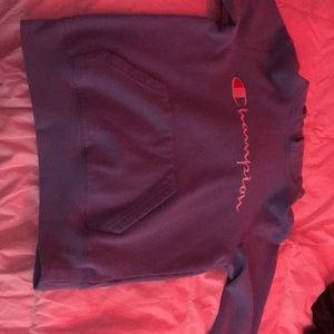 Blue champion hoodie